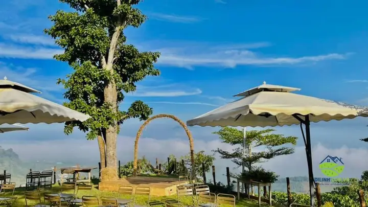 Top Quán Cà Phê Đẹp Ở Di Linh: Checklist Điểm Check-in "xịn Xò" Top Quán Cà Phê Đẹp Ở Di Linh: Checklist Điểm Check-in "xịn Xò"