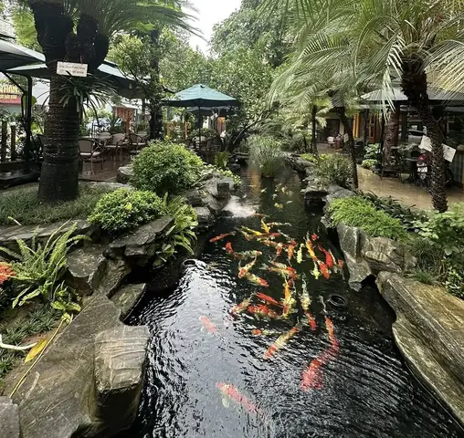 Top Quán Cafe Cá Koi Hải Phòng: Khám Phá Điểm Hẹn Độc Đáo & Thư Giãn Top Quán Cafe Cá Koi Hải Phòng: Khám Phá Điểm Hẹn Độc Đáo & Thư Giãn