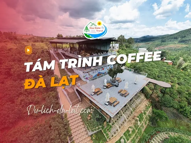Top Quán Cafe Có Piano Đà Lạt: Khám Phá Âm Nhạc & Không Gian Thư Giãn