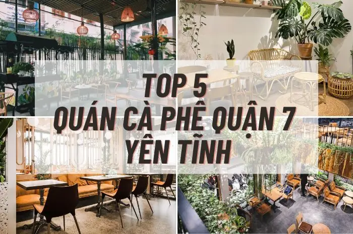Top Quán Cafe Học Bài Yên Tĩnh Quận 7: Review Chi Tiết & Kinh Nghiệm Chọn Lọc