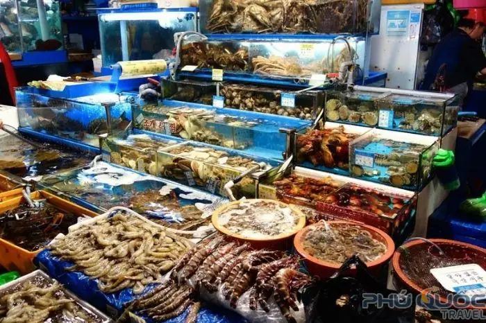 Top Quán Hải Sản Chợ Đêm Phú Quốc: Kinh Nghiệm Ăn Ngon - Bổ - Rẻ Top Quán Hải Sản Chợ Đêm Phú Quốc: Kinh Nghiệm Ăn Ngon - Bổ - Rẻ