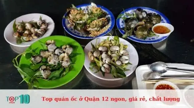 Top 10 Quán Ốc Ngon Quận 12: Địa Điểm Ăn Uống Hấp Dẫn Không Thể Bỏ Lỡ Top 10 Quán Ốc Ngon Quận 12: Địa Điểm Ăn Uống Hấp Dẫn Không Thể Bỏ Lỡ