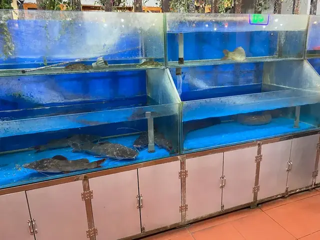 Sóng Thần Quán Buôn Ma Thuột: Khám Phá Địa Điểm Ăn Uống Hấp Dẫn