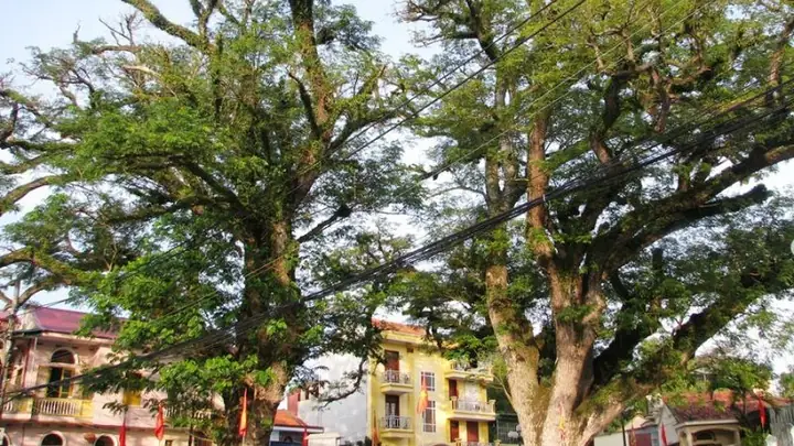 Quảng Yên Quảng Ninh: Khám Phá Vẻ Đẹp Tự Nhiên Và Nét Văn Hóa Độc Đáo Quảng Yên Quảng Ninh: Khám Phá Vẻ Đẹp Tự Nhiên Và Nét Văn Hóa Độc Đáo
