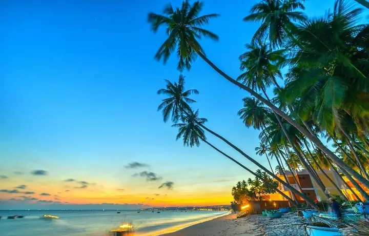 Sài Gòn Đi Phan Thiết Bao Nhiêu Km? Tổng Hợp Thông Tin Chi Tiết Và Cách Di Chuyển 80 Sài Gòn Đi Phan Thiết Bao Nhiêu Km? Tổng Hợp Thông Tin Chi Tiết Và Cách Di Chuyển