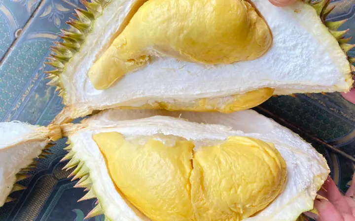 Sầu Riêng Ngon Sài Gòn: Địa Điểm, Loại Ngon & Cách Chọn Chuẩn Sầu Riêng Ngon Sài Gòn: Địa Điểm, Loại Ngon & Cách Chọn Chuẩn