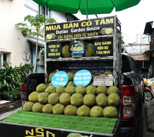 Sầu Riêng Ngon Sài Gòn: Địa Điểm, Loại Ngon & Cách Chọn Chuẩn Sầu Riêng Ngon Sài Gòn: Địa Điểm, Loại Ngon & Cách Chọn Chuẩn