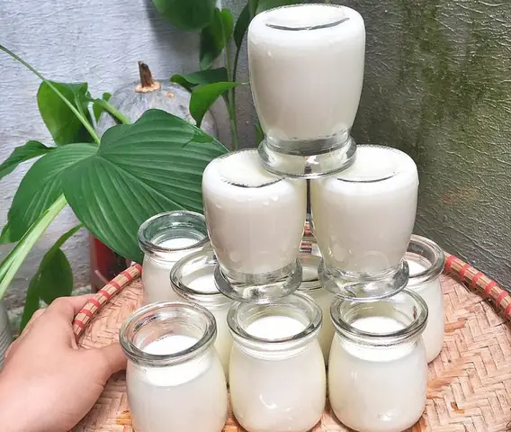 Sữa Chua Lộc Chương Hà Tĩnh: Hương Vị Đặc Sản Nhất Định Phải Thử