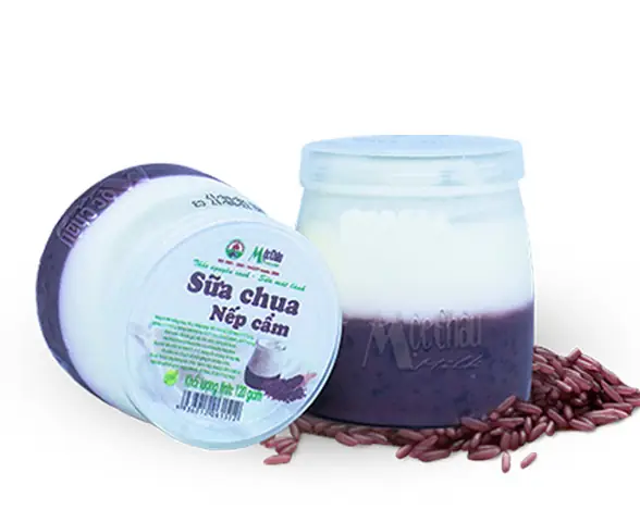 Sữa Chua Nếp Cẩm: Loại Nào Ngon Nhất, Mua Ở Đâu Và Lợi Ích Bất Ngờ