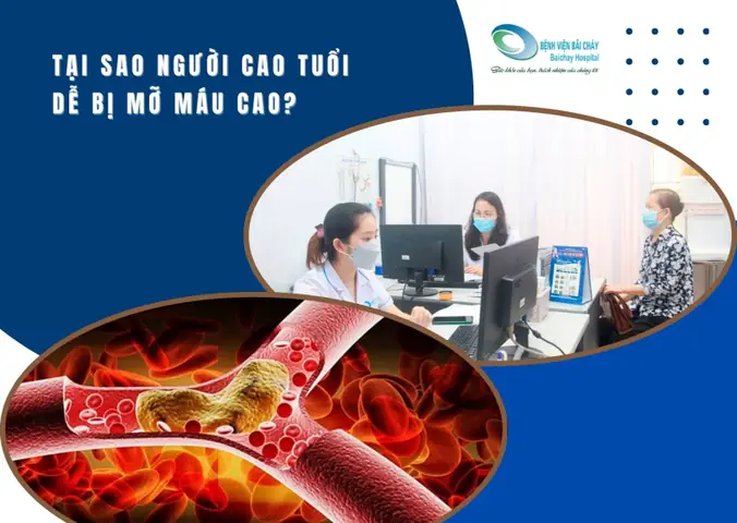 Tại Sao Bãi Cháy Lại Có Tên Gọi Như Vậy? Nguồn Gốc Và Ý Nghĩa Lịch Sử Tại Sao Bãi Cháy Lại Có Tên Gọi Như Vậy? Nguồn Gốc Và Ý Nghĩa Lịch Sử