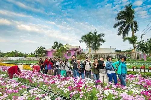 Khám Phá Làng Hoa Sa Đéc: Cẩm Nang Du Lịch Toàn Diện Từ A-z