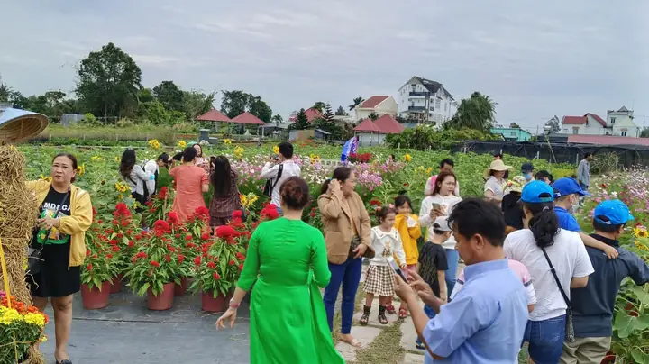 Khám Phá Làng Hoa Sa Đéc: Cẩm Nang Du Lịch Toàn Diện Từ A-z