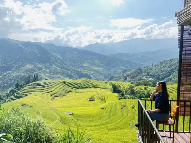 Tháng 9 Du Lịch Ở Đâu Việt Nam? Khám Phá 20+ Điểm Đến Mùa Thu Lý Tưởng Tháng 9 Du Lịch Ở Đâu Việt Nam? Khám Phá 20+ Điểm Đến Mùa Thu Lý Tưởng
