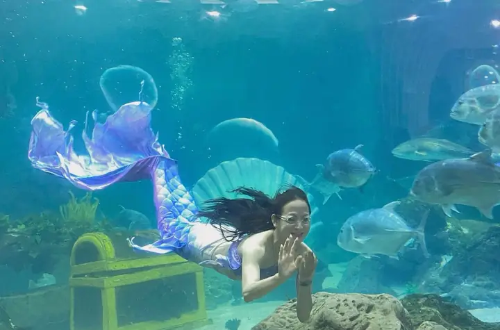 Khám Phá Vinke & Vinpearl Aquarium Times City: Hướng Dẫn Chi Tiết Từ A-z