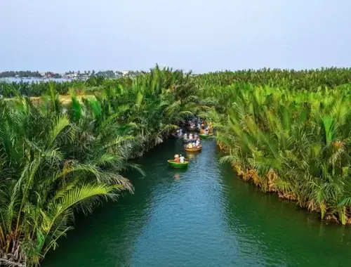 Thuyết Minh Rừng Dừa Bảy Mẫu: Khám Phá Lịch Sử & Vẻ Đẹp Sinh Thái Hấp Dẫn 91 Thuyết Minh Rừng Dừa Bảy Mẫu: Khám Phá Lịch Sử & Vẻ Đẹp Sinh Thái Hấp Dẫn