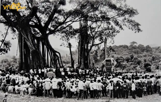 Thuyết Minh Cây Đa Tân Trào: Lịch Sử, Ý Nghĩa Và Điểm Đến Du Lịch