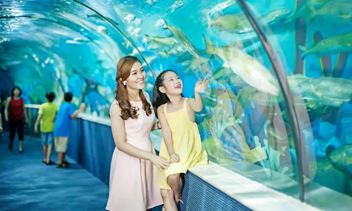 Times City Hà Nội Có Gì: Khám Phá Thiên Đường Giải Trí, Mua Sắm & Ẩm Thực Đỉnh Cao 80 Times City Hà Nội Có Gì: Khám Phá Thiên Đường Giải Trí, Mua Sắm & Ẩm Thực Đỉnh Cao