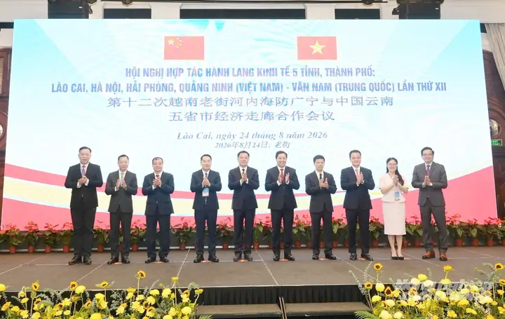 "tỉnh Việt Thanh" Là Tỉnh Nào? Khám Phá Danh Tính Thực Sự & Liên Quan Đến Phim Ảnh