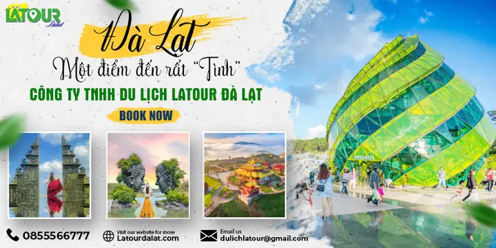 Tour Đà Lạt 1 Ngày: Trải Nghiệm Trọn Vẹn Xứ Sở Sương Mù Trong Một Ngày
