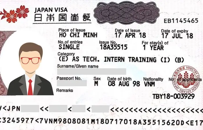 Visa Du Lịch Nhật Bản Tự Túc: Thủ Tục, Hồ Sơ & Kinh Nghiệm Chi Tiết 2024