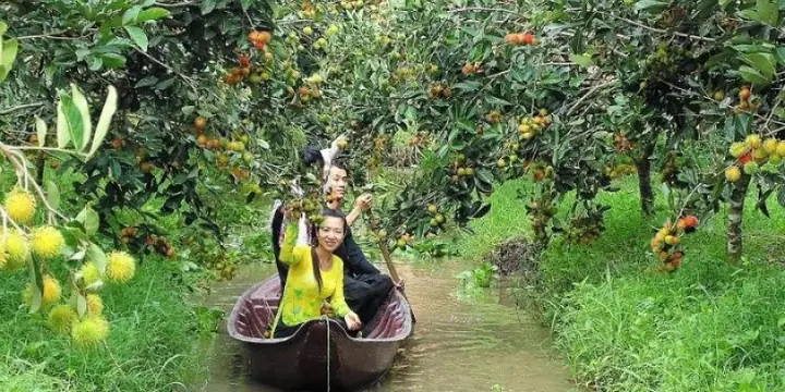 Khám Phá Vườn Cây Ăn Quả Miền Tây: Trải Nghiệm Du Lịch Độc Đáo