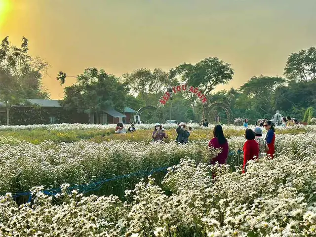 Vườn Hoa Bãi Đá Sông Hồng: Khám Phá Điểm Du Lịch, Cắm Trại Hấp Dẫn Tại Hà Nội 82 Vườn Hoa Bãi Đá Sông Hồng: Khám Phá Điểm Du Lịch, Cắm Trại Hấp Dẫn Tại Hà Nội