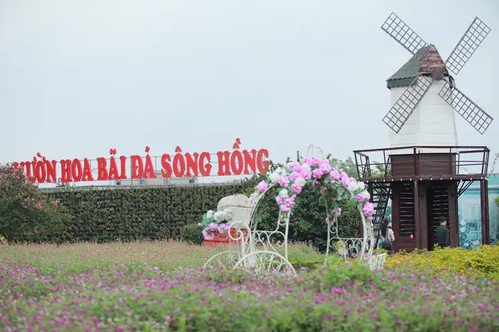 Vườn Hoa Bãi Đá Sông Hồng: Khám Phá Điểm Du Lịch, Cắm Trại Hấp Dẫn Tại Hà Nội