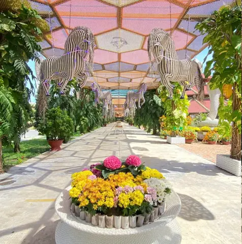 Vườn Hoa Trường Sơn Nha Trang: Khám Phá Làng Nghề & Vẻ Đẹp Độc Đáo 63 Vườn Hoa Trường Sơn Nha Trang: Khám Phá Làng Nghề & Vẻ Đẹp Độc Đáo