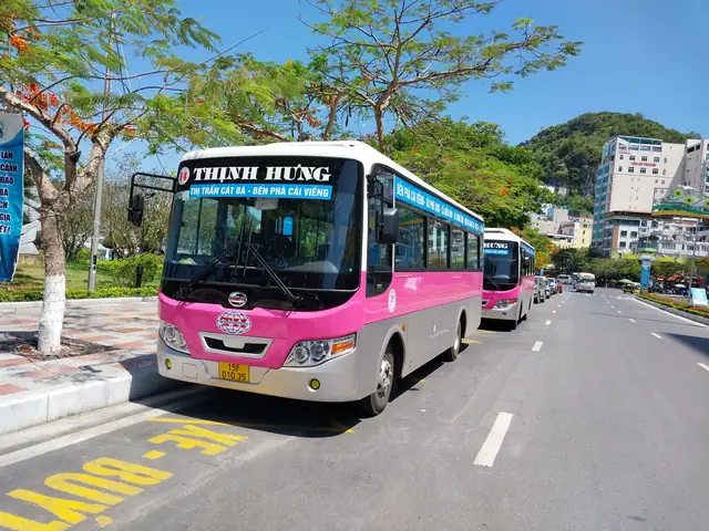 Tuyến Xe Buýt Hải Phòng - Đồ Sơn: Lộ Trình, Giá Vé Và Lịch Trình Chi Tiết