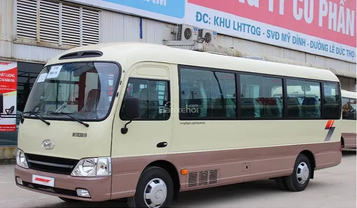Xe Hoa Mai Đi Bình Châu: Lịch Trình, Giá Vé Và Cách Đặt Vé Chi Tiết 50 Xe Hoa Mai Đi Bình Châu: Lịch Trình, Giá Vé Và Cách Đặt Vé Chi Tiết