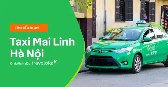 Xe Mai Linh Sài Gòn Hà Nội: Giá Vé, Lịch Trình & Kinh Nghiệm Đi Lại