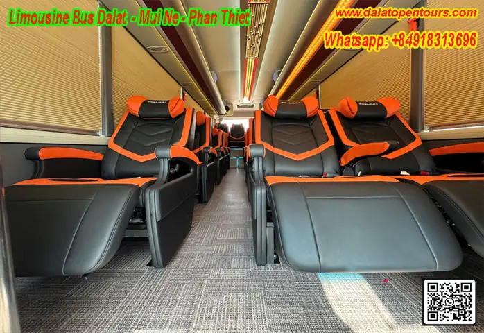 Xe Mũi Né Đi Đà Lạt: Giá Vé, Lịch Trình & Cách Đặt Xe Uy Tín 2024
