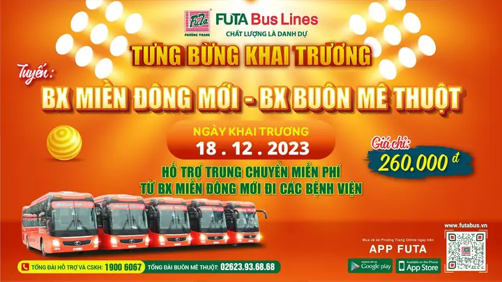 Xe Phương Trang Đi Bình Định: Lịch Trình, Giá Vé & Cách Đặt Online